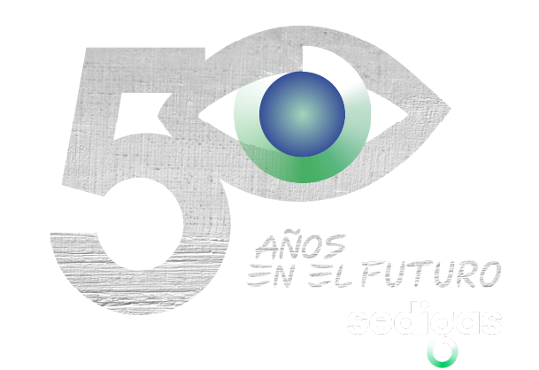Reunión anual Sedigas 2024